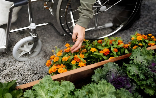 Accessible Backyard Projects: Creating a Barrier-Free Outdoor Oasis