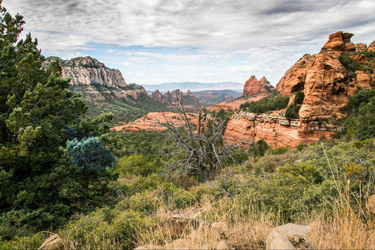 Exploring National Parks: Accessible Travel Tips & Essential Gear