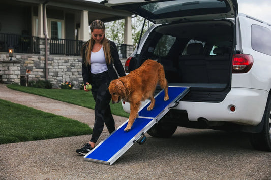 On the Go: Why Every Adventurous Dog Needs a Portable Pet Ramp