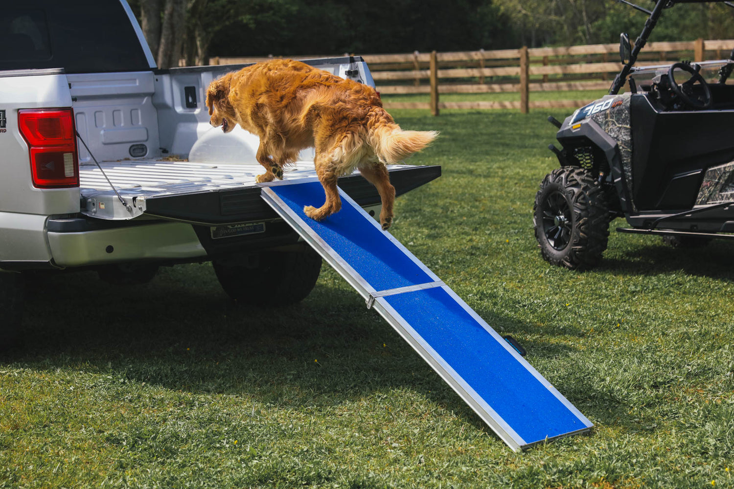 EZ-ACCESS Portable Pet Ramp - EZ-ACCESS