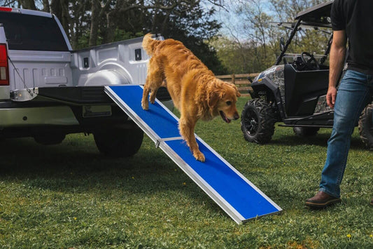 A dog walking down a pet ramp.