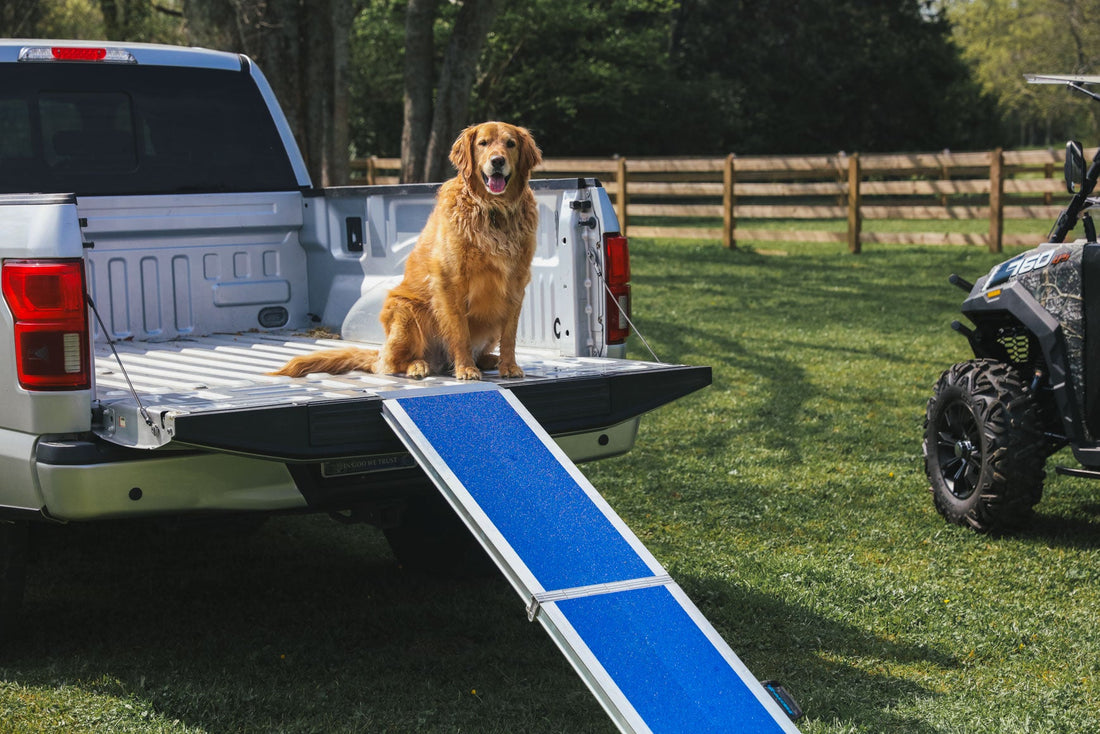 Making Life Easier for Aging & Small Pets with the FOUR RUNNER™ Portable Pet Ramp