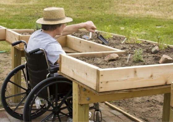 Accessible Gardening: Create an Inclusive Garden with Ramps & Raised Beds