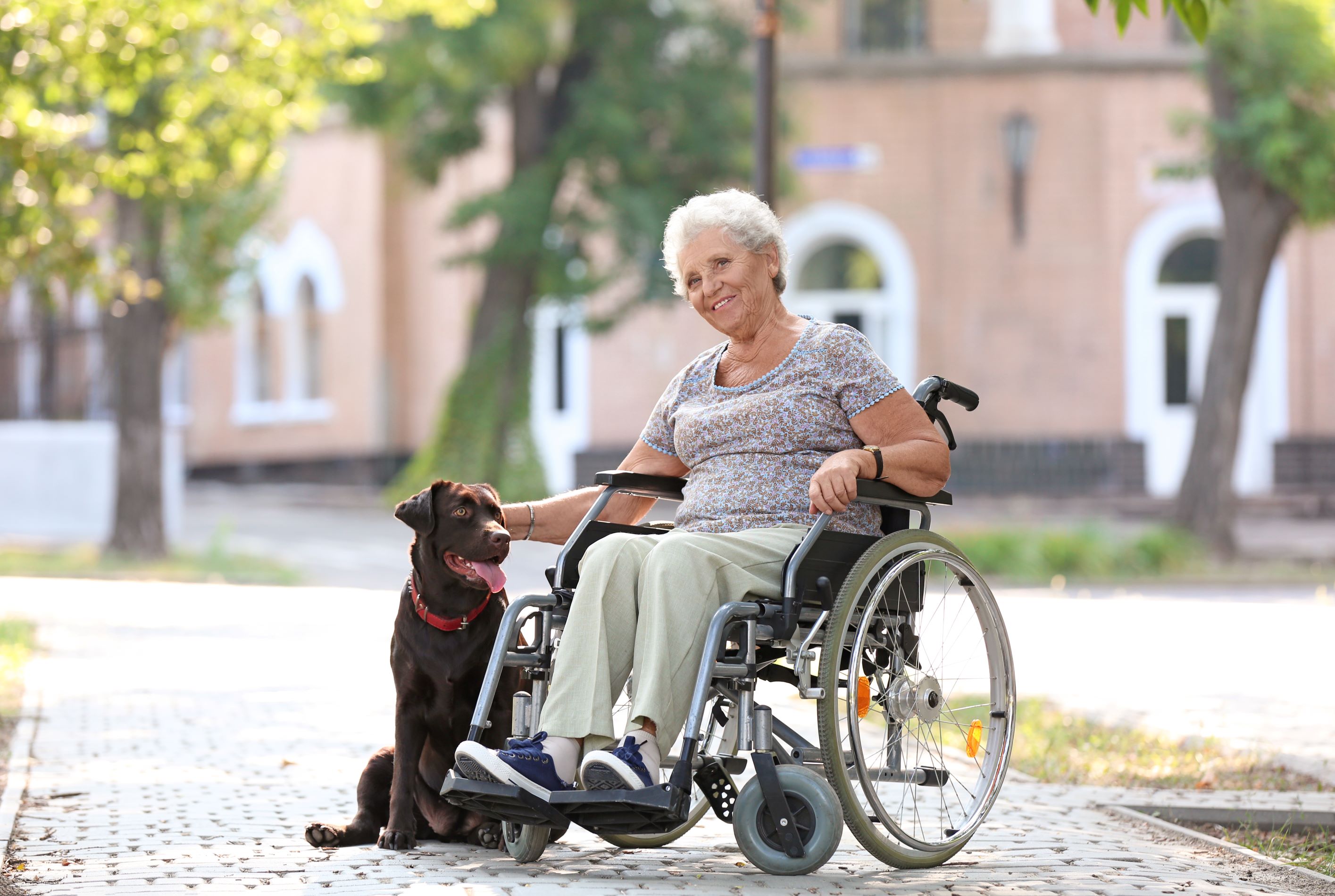 4 Ways Someone with a Disability Can Benefit from Having a Pet