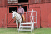 Equestrian