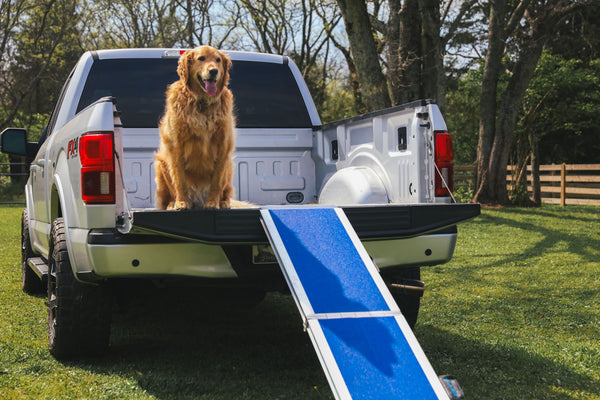 Pet Ramps