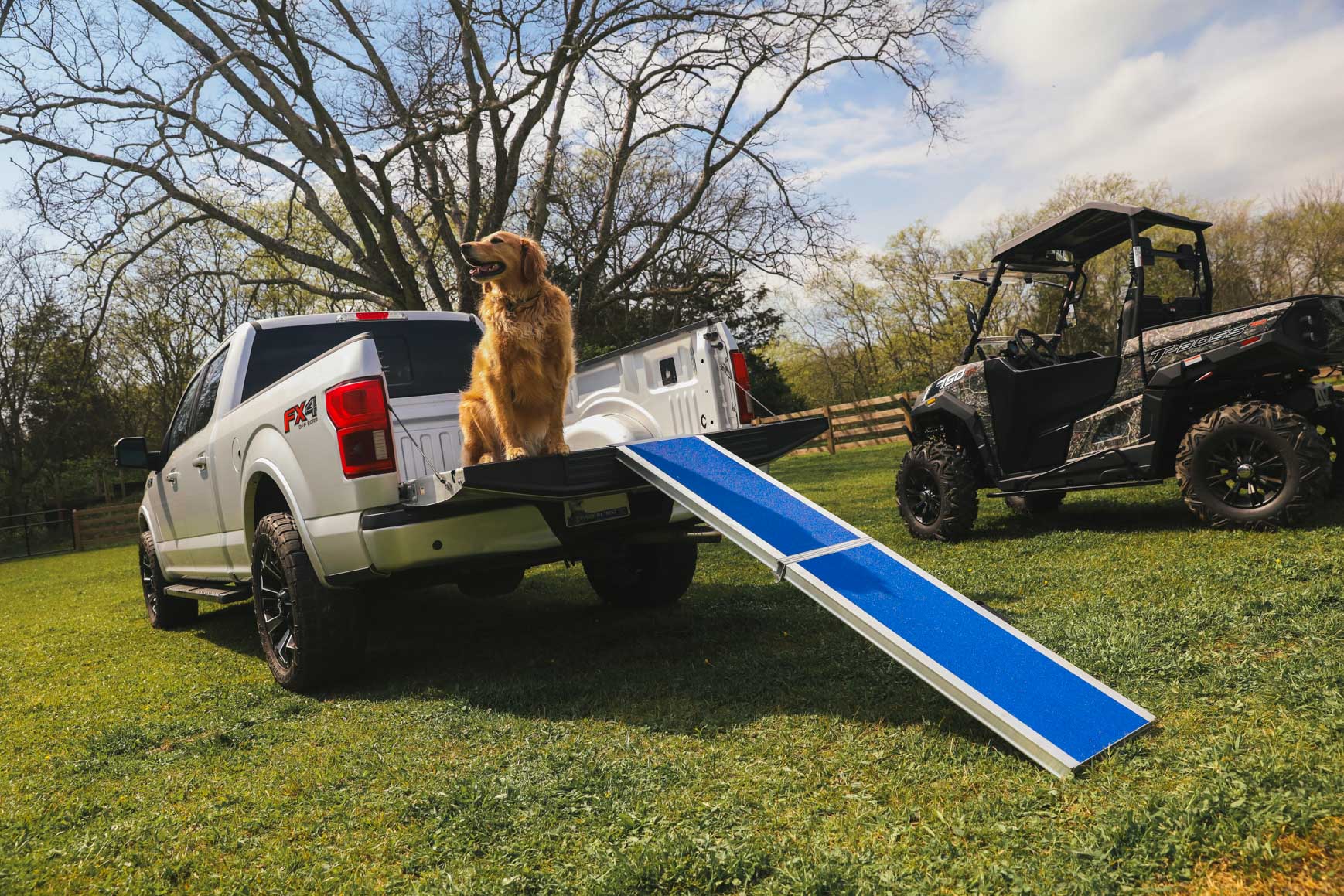 Portable Pet Ramps