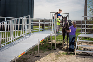 PATHWAY® HD Code Compliant Modular Access System - EZ-ACCESS