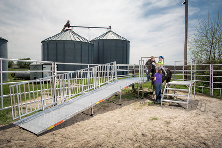 PATHWAY® HD Code Compliant Modular Access System - EZ-ACCESS