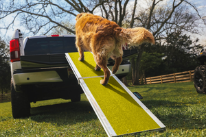 EZ-ACCESS Portable Pet Ramp - EZ-ACCESS