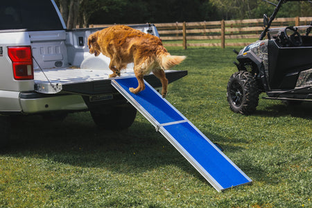 EZ-ACCESS Portable Pet Ramp - EZ-ACCESS