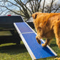 EZ-ACCESS Portable Pet Ramp - EZ-ACCESS