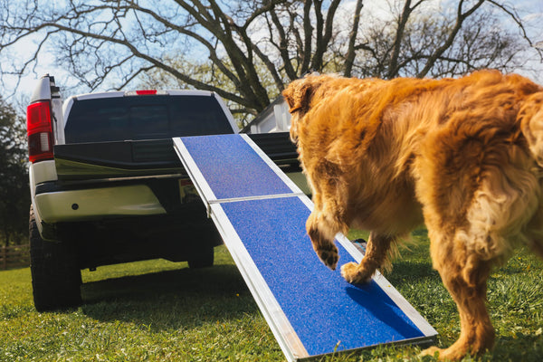 Portable Pet Ramp EZ ACCESS 8 ft Blue