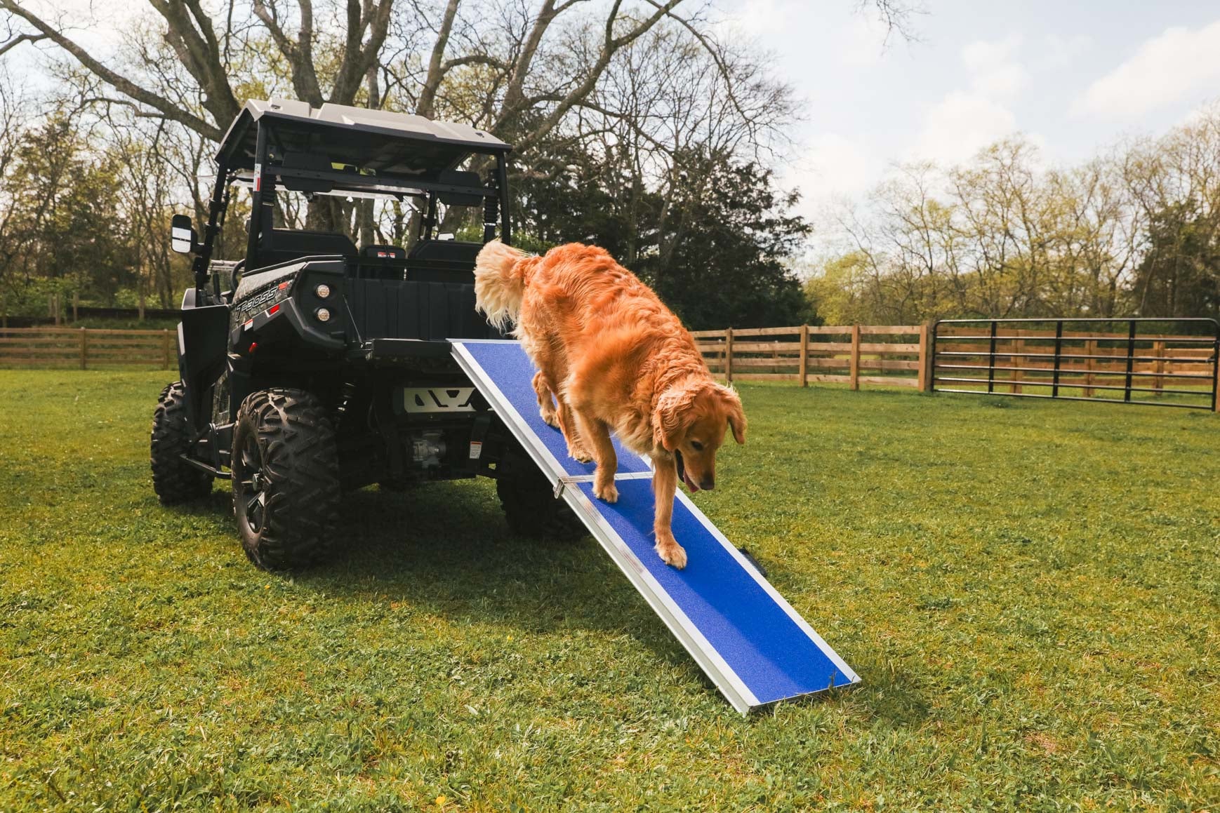 Dog ramp for ute hotsell